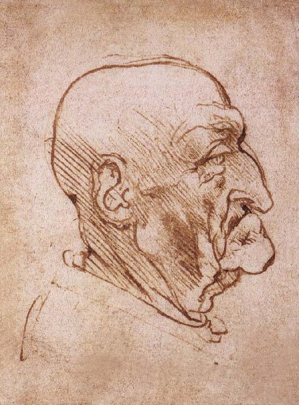 LEONARDO da Vinci Profile of an old man oil painting image
